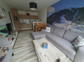 Cozy apartment Bjelašnica Ski Resort
